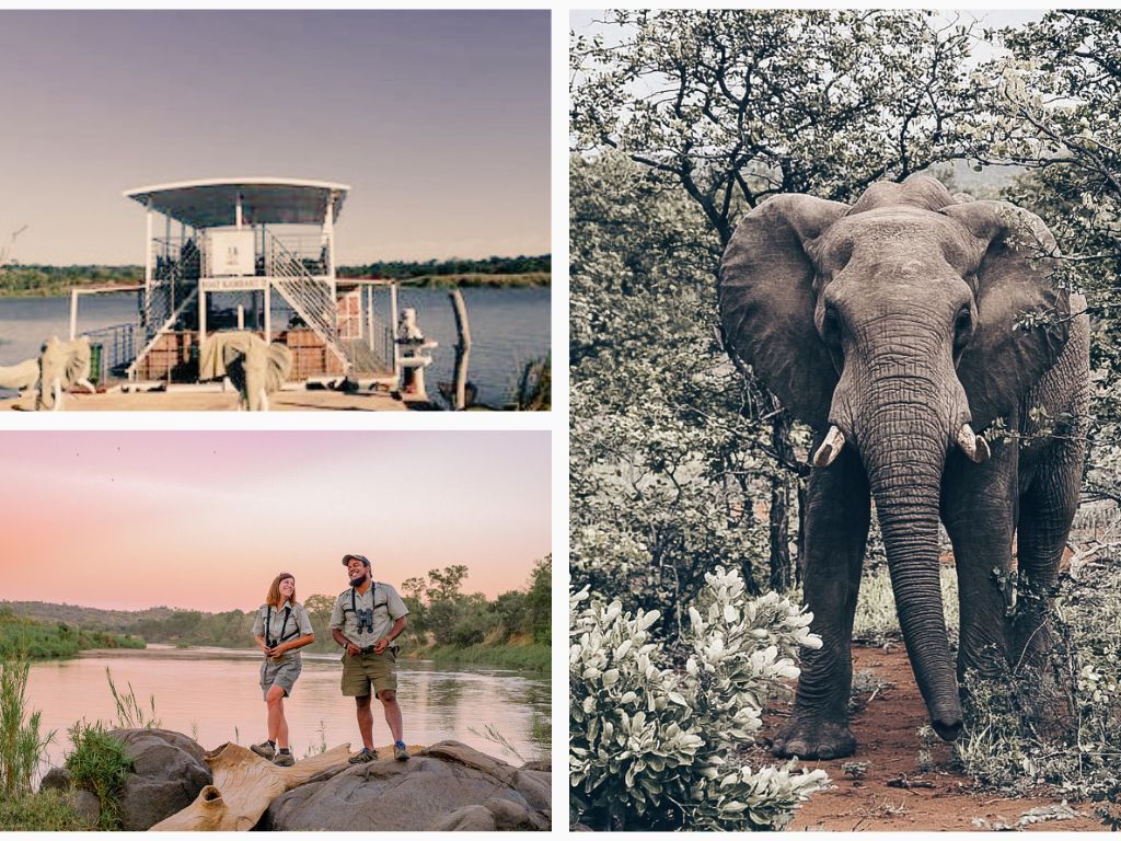 Tauche ein in die Wildnis Südafrikas das Abenteuer einer Fluss-Safari und genieße unvergessliche Momente bei der Tierbeobachtung entlang des malerischen Flusses.