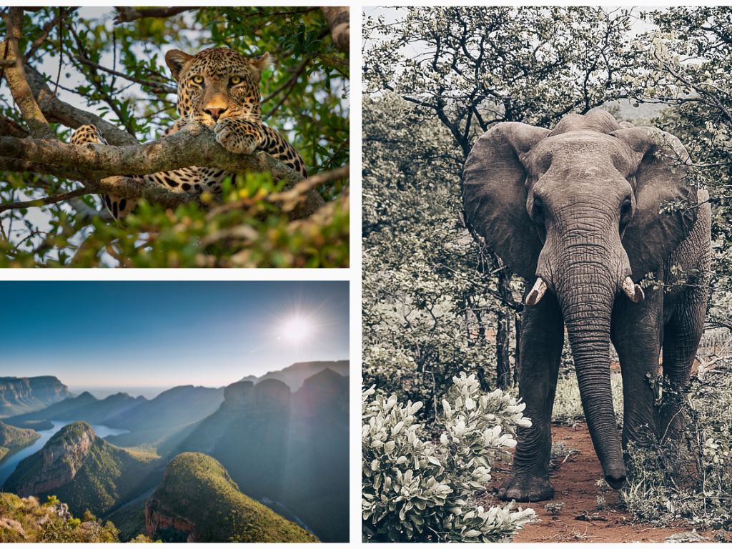Kruger Abenteuer: Entdecke die Wunder der Panorama Route und erlebe eine unvergessliche Safari inmitten der atemberaubenden Natur Südafrikas.