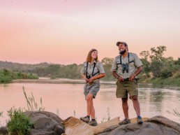 Safari Ausfahrten im Krüger Nationalpark in Südafrika