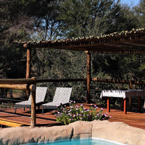 Entdecke die atemberaubende Tierwelt Südafrikas in unserer luxuriösen Lodge.