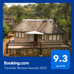 Baluleni Safari Lodge Südafrika Beste Bewertungen