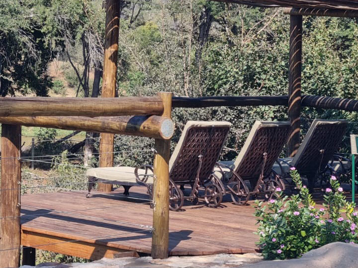 Beobachte atemberaubende Tiere in ihrer natürlichen Umgebung und entspanne in unserer Safari Lodge.