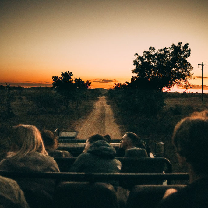 Genieße die unberührte Natur und das Abenteuer einer Safari in Afrika, während du in einem komfortablen Safari-Fahrzeug reist.