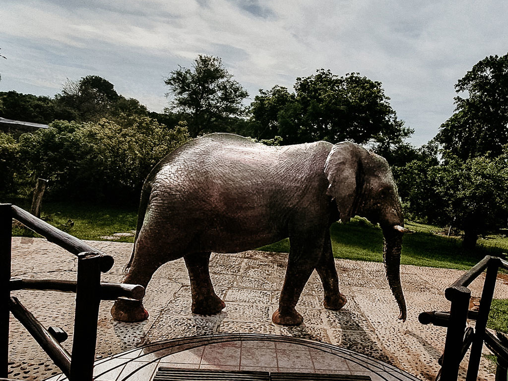 Genieße den Blick auf majestätische Elefanten und andere faszinierende Tiere von unserer Lodge aus.